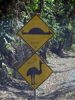 Cassowary sign
